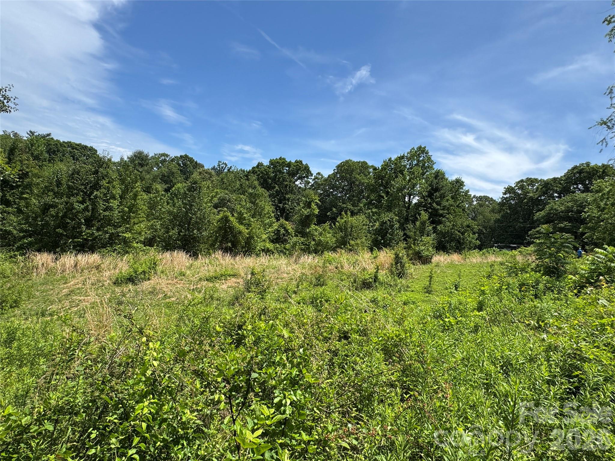 Land in Candler 3