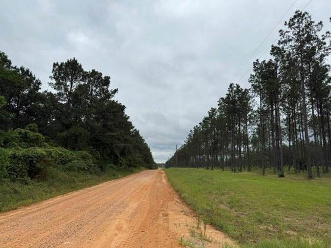 00 Richardson Rd E, Home with 0 bedrooms, 0 bathrooms and null parking in Livingston TX | Image 6