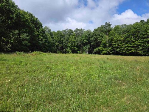TBD Hazelwood Dr, Bruceton Mills, WV, 26525 | Card Image