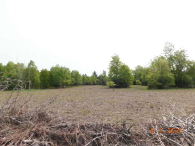 B2682 - 15880 Potter Rd, Home with 0 bedrooms, 0 bathrooms and null parking in Kaleva MI | Image 4
