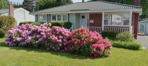 30 Penhorn Dr, Dartmouth, NS, B2Y3K3 | Card Image
