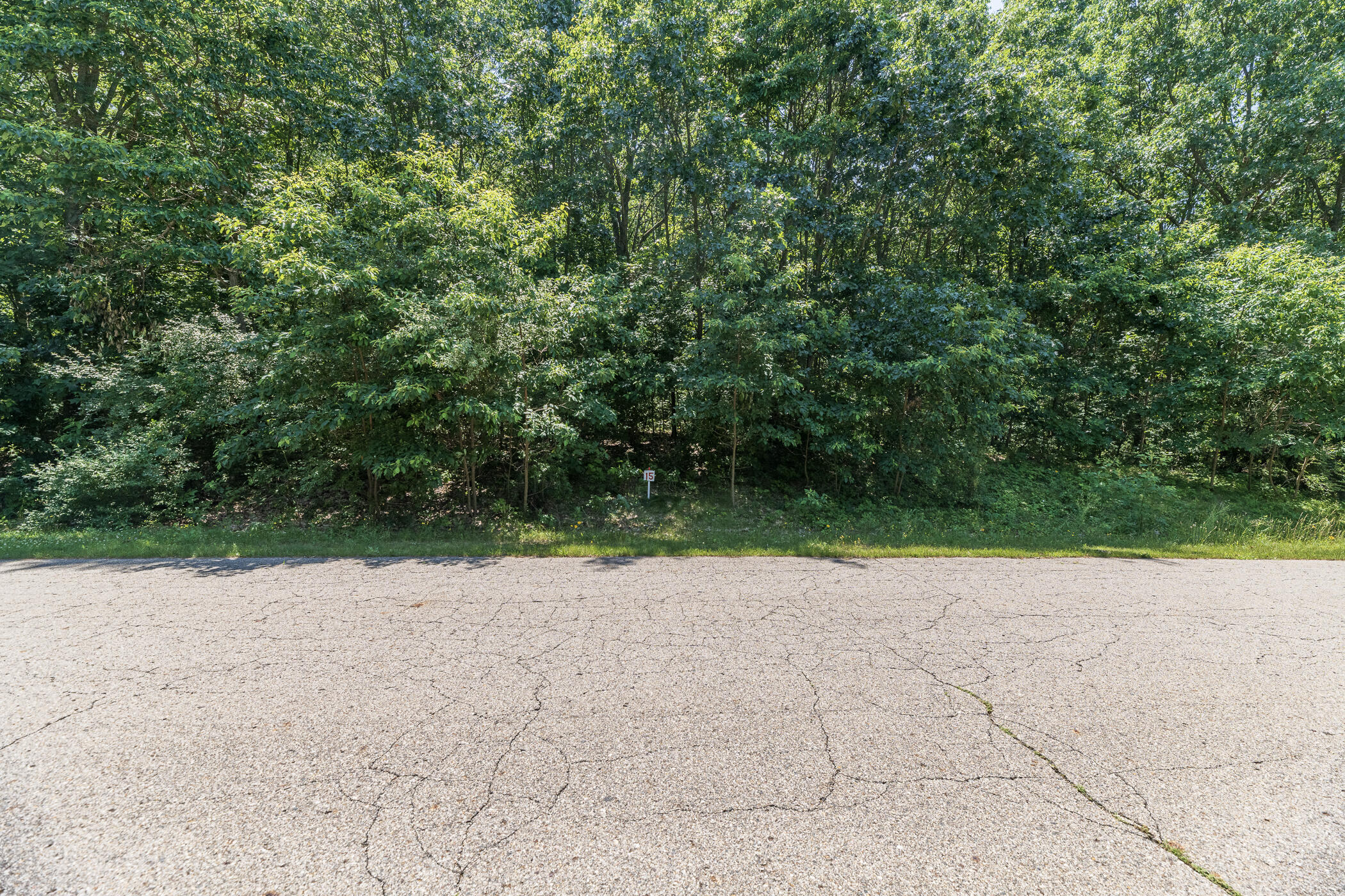 Land in Kalamazoo 3