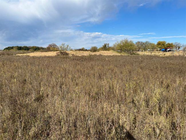View towards back fence | Image 6