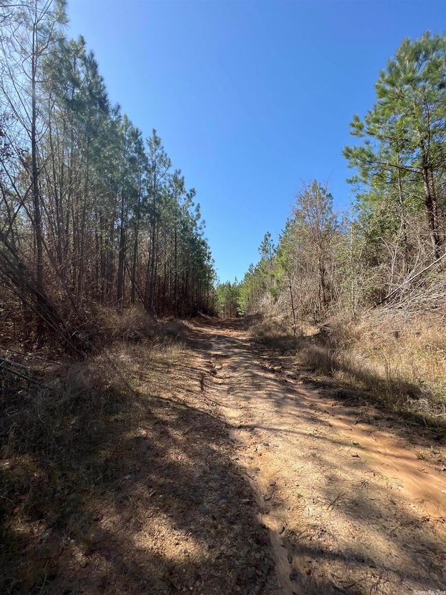 00 Nevada County 175 Road, Home with 0 bedrooms, 0 bathrooms and null parking in Rosston AR | Image 14