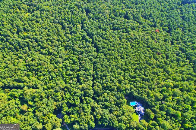 198.62+/- ACRES Apalachee Woods Trl, Home with 0 bedrooms, 0 bathrooms and null parking in Buckhead GA | Image 9