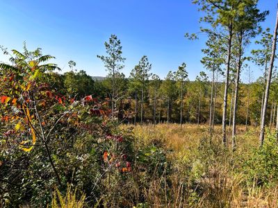 views to the northwest from the property | Image 3