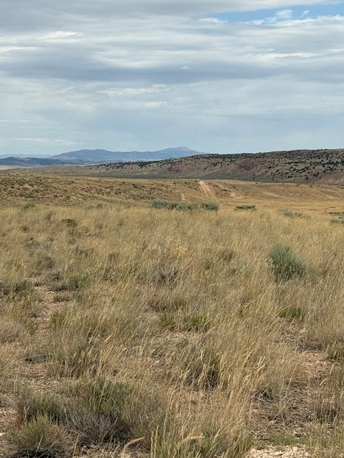 17-17 Old Dam Rd, Levan, UT, 84639 | Card Image