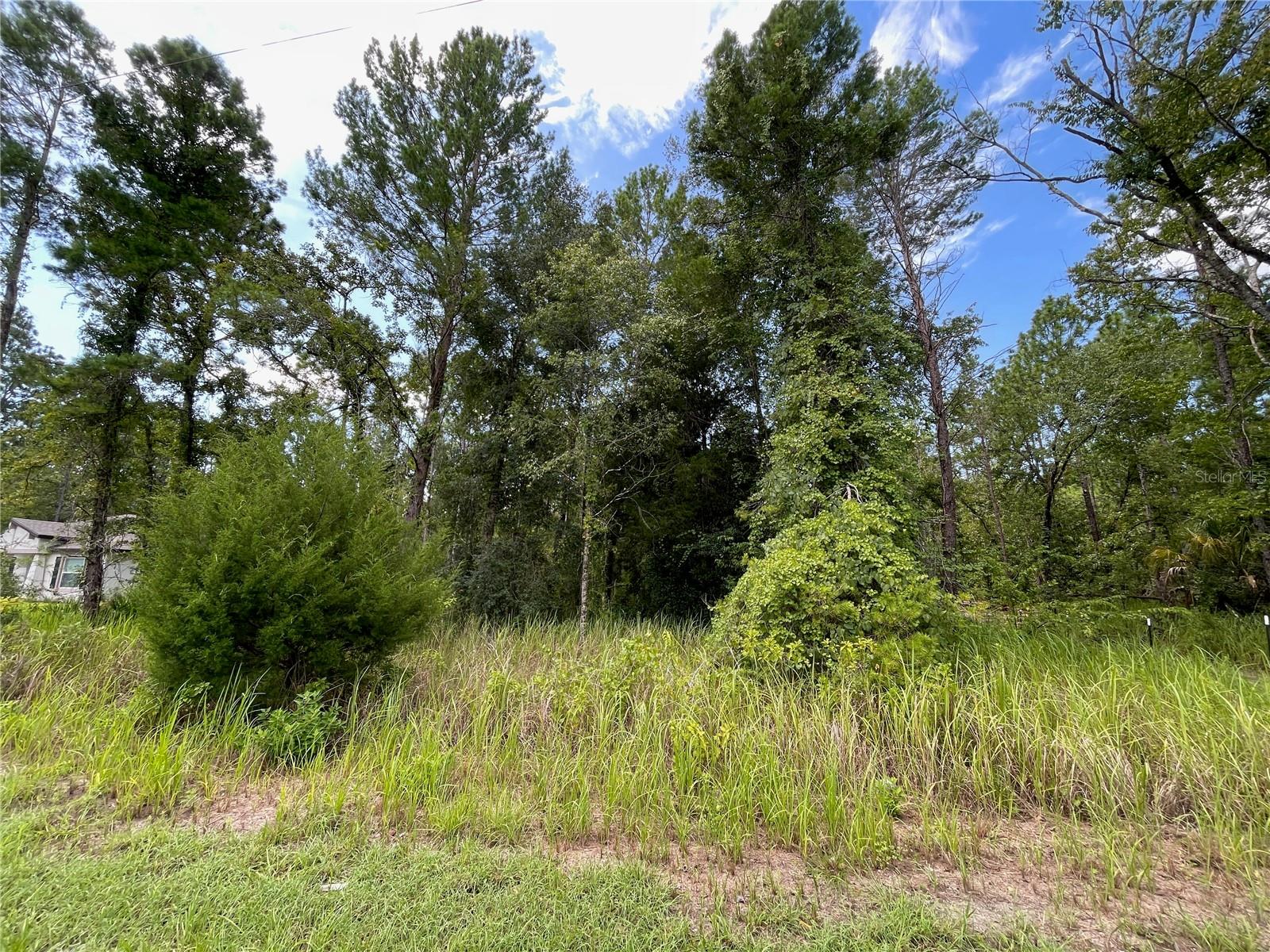 Land in WEEKI WACHEE 5