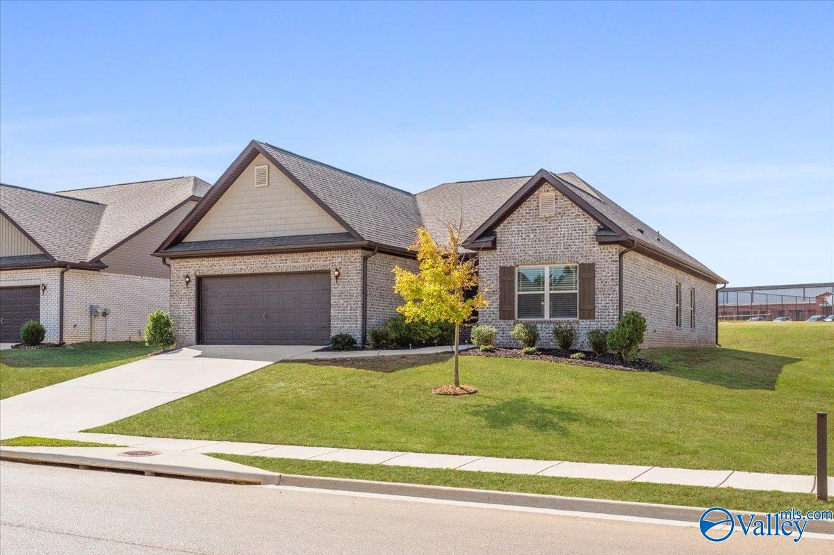 Saddle St, New Market, AL 35761