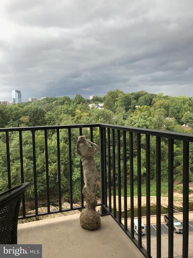 APT-722 - 4600 S Four Mile Run Dr, Condo with 1 bedrooms, 1 bathrooms and null parking in ARLINGTON VA | Image 26