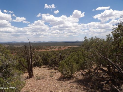 0 Bella Vis, Show Low, AZ, 85901 | Card Image