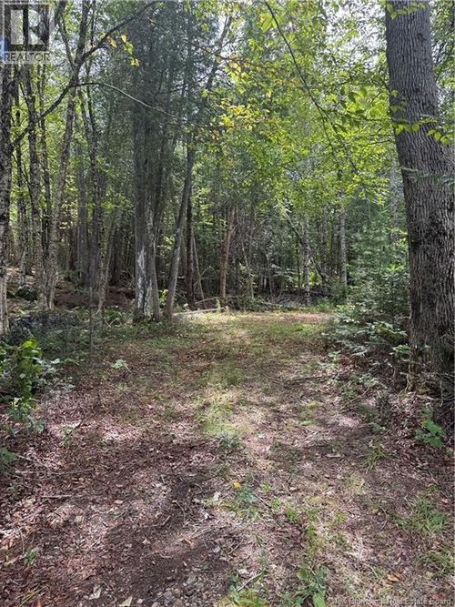 194 Upper Waweig Rd, Waweig, NB, E3L4N1 | Card Image