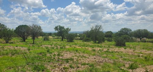 Tract 6 Lehne Loop, Buchanan Dam, TX, 78609 | Card Image