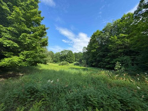 00 W Beeman Road, Kasson Township, MI, 49630 | Card Image
