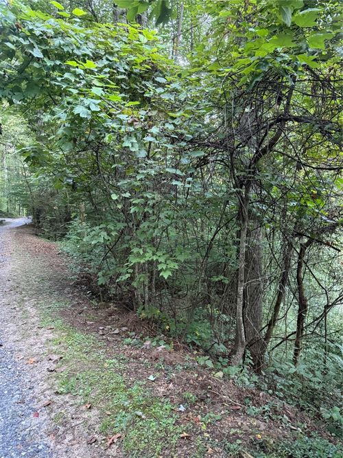 15 Mountain Air Road, Franklin, NC, 28734 | Card Image