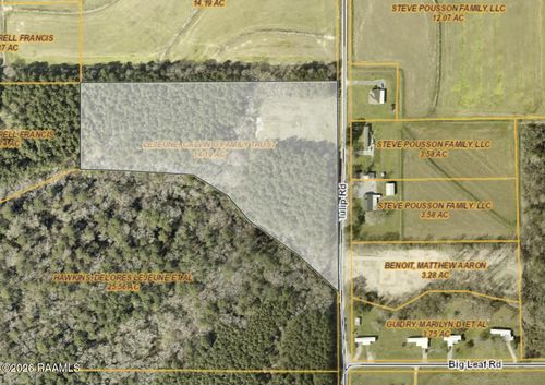 Tbd Tulip Rd, Iota, LA, 70543 | Card Image