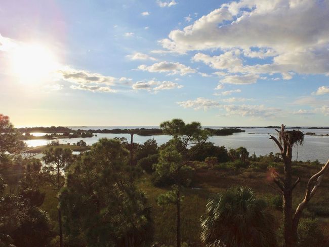 Lot #21 Watson Cir, Home with 0 bedrooms, 0 bathrooms and null parking in CEDAR KEY FL | Image 32