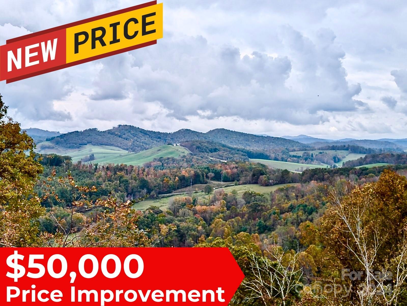 Toms Knob Rd, Sparta, NC 28675