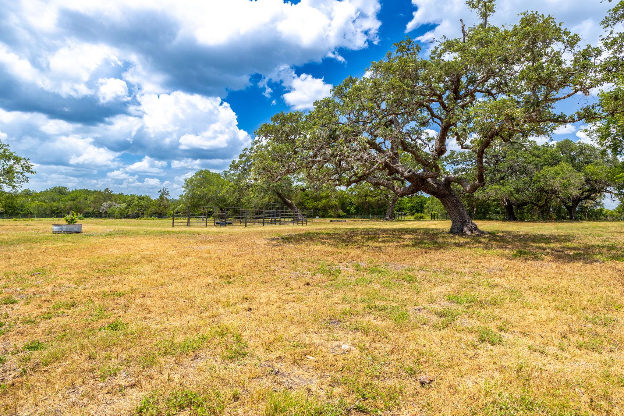Land in Flatonia