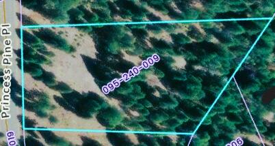Land in Shingletown 2