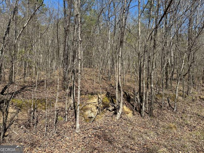 TRACT-4 - 0 Prior Station Rd, Home with 0 bedrooms, 0 bathrooms and null parking in Cedartown GA | Image 10