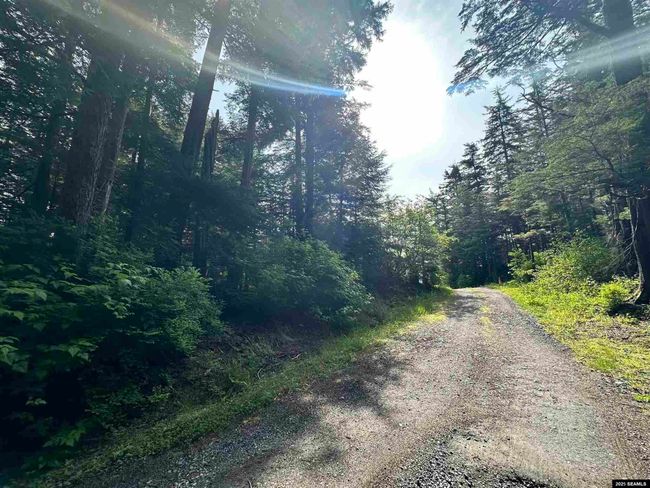 100 Yakobi Way, Home with 0 bedrooms, 0 bathrooms and null parking in Sitka AK | Image 15