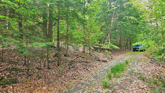 1 Pocumtuck Way, Home with 0 bedrooms, 0 bathrooms and null parking in Gilmanton NH | Image 20