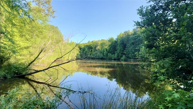 00 Boyce Page Rd, Home with 0 bedrooms, 0 bathrooms and null parking in Honea Path SC | Image 12