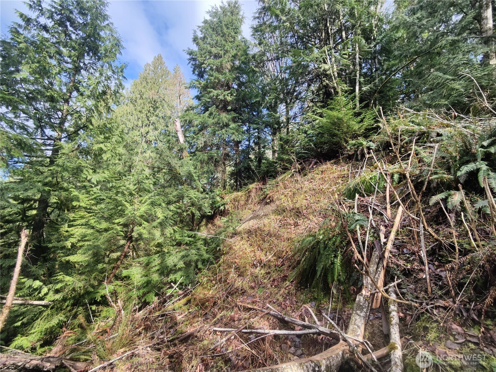 Land in Sumas 2