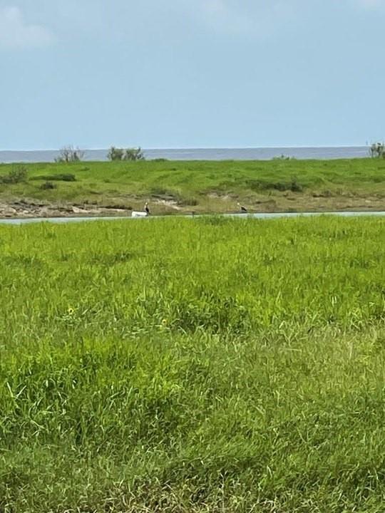 Land in Palacios 2