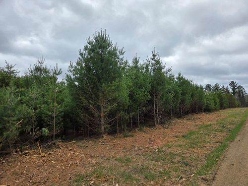 TBD 450th St - Parcel A, Laporte, MN, 56461 | Card Image