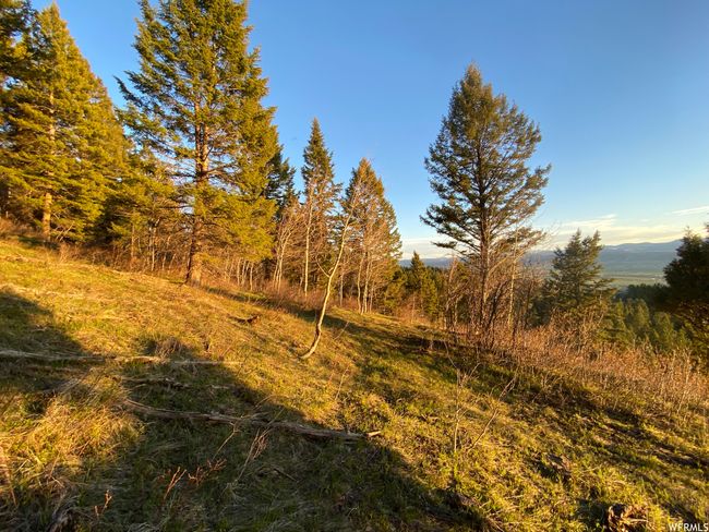 View of nature | Image 23