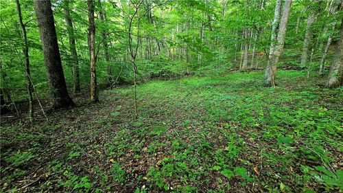 Lot 11 Elk Creek Mountain Pkwy, Todd, NC, 28684 | Card Image