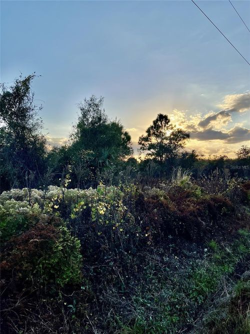 14416 Nw 252nd St, Okeechobee, FL, 34972 | Card Image