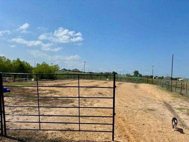 Horse arena | Image 27