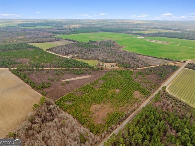 0 Blue Springs Rd, Home with 0 bedrooms, 0 bathrooms and null parking in Sylvester GA | Image 6