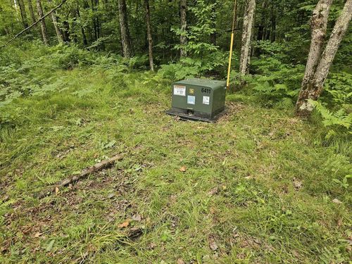 8110 Koeppler Rd, OJIBWA, WI, 54862 | Card Image