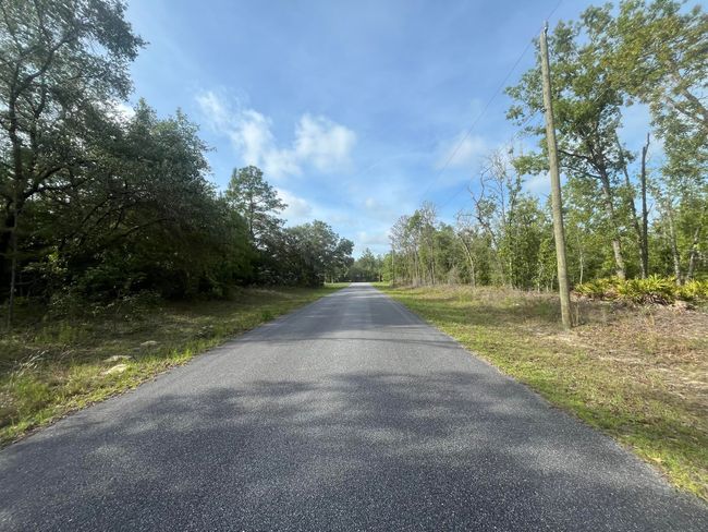 1321 W Dolores Dr, Home with 0 bedrooms, 0 bathrooms and null parking in Citrus Springs FL | Image 5