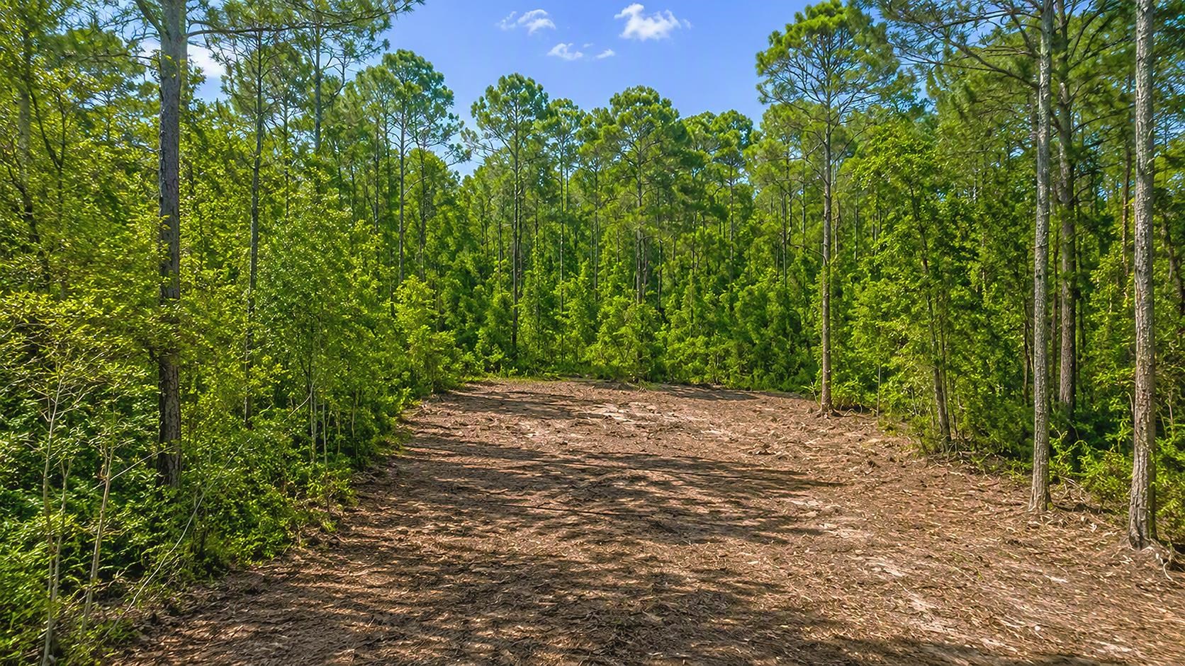 Land in Georgetown 5