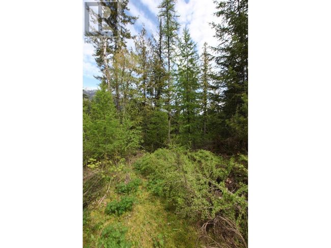 434 Lexington Ave, Home with 0 bedrooms, 0 bathrooms and null parking in Procter BC | Image 38