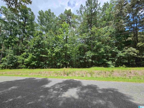5-171 Rivercrest Dr, VINCENT, AL, 35178-9203 | Card Image