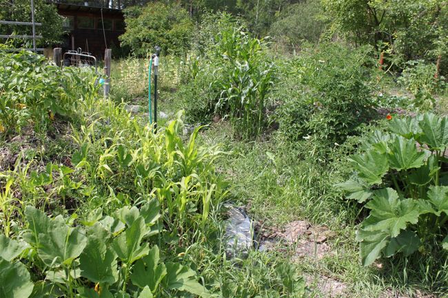 View of undeveloped land | Image 112
