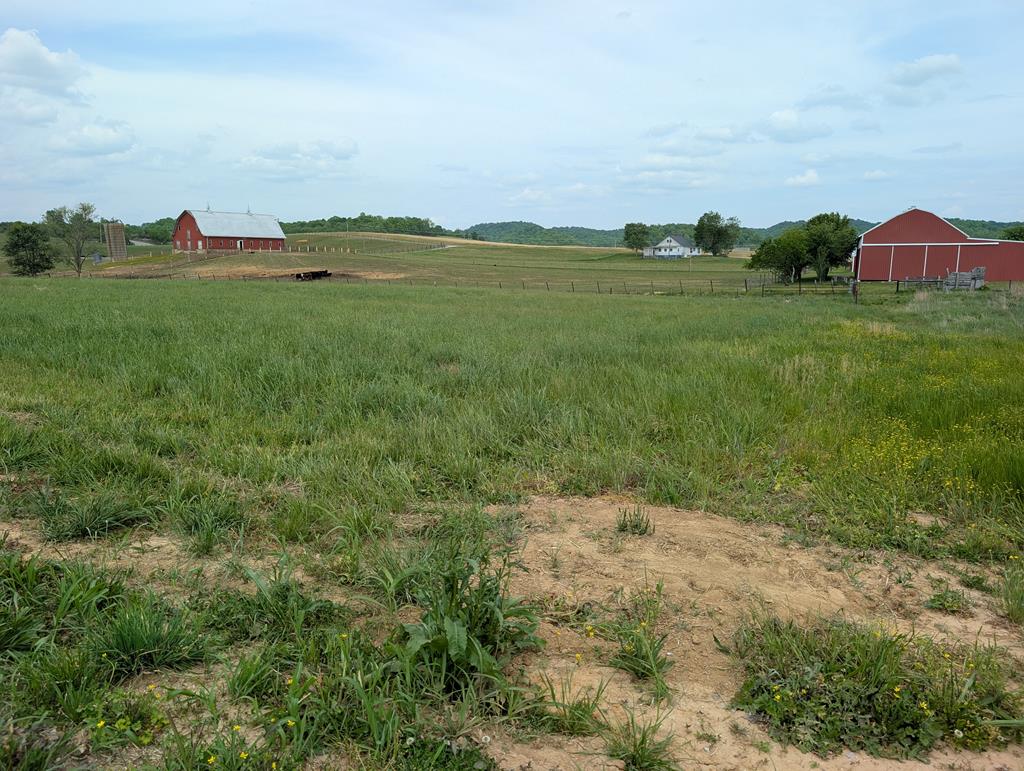 Land in Burkesville