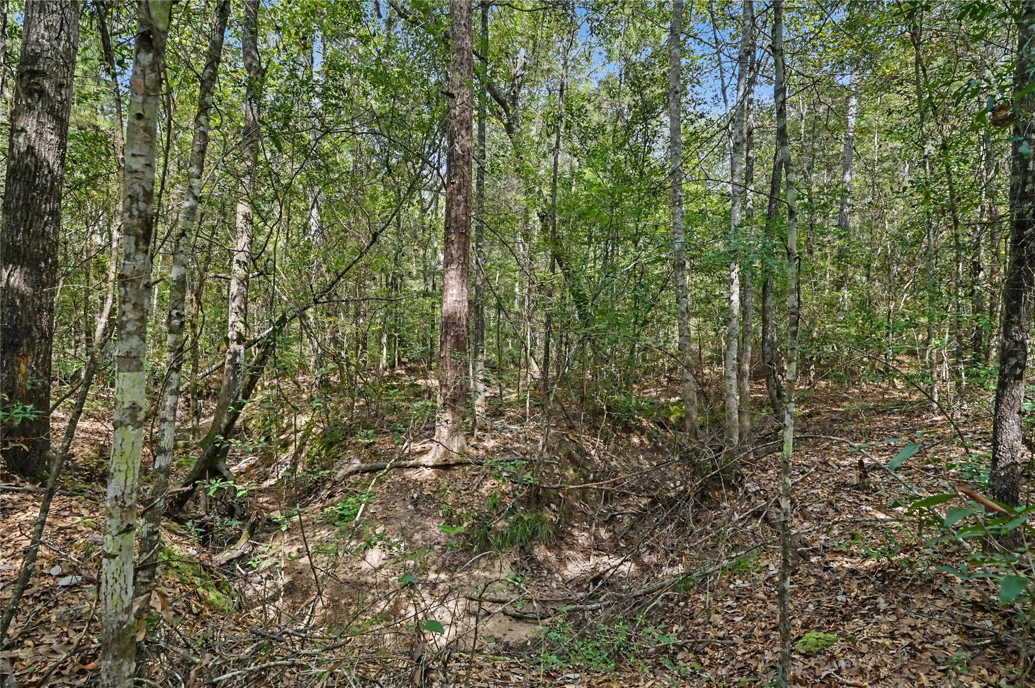 Land in Cleveland 5