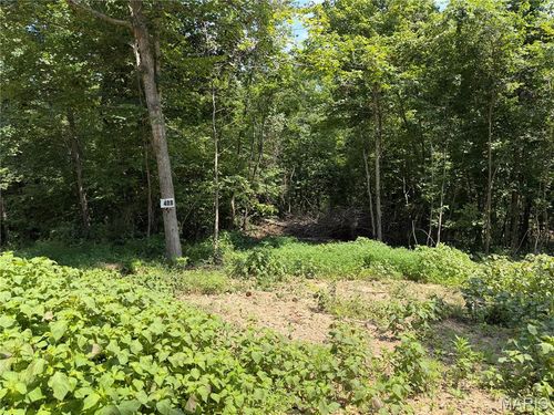 #408 Madison 410, Fredericktown, MO, 63645 | Card Image