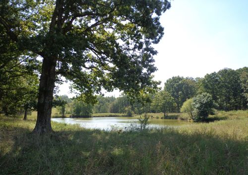 1551 Tennessee Ridge Rd, Waverly, TN, 37185-3839 | Card Image