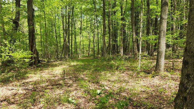 6291 Burke Rd, Home with 0 bedrooms, 0 bathrooms and null parking in Prattsburgh NY | Image 24