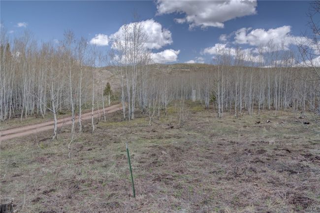 View of local wilderness | Image 8