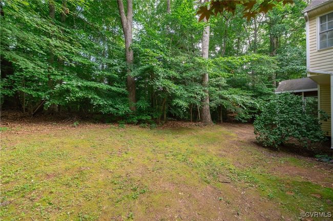 View of grassy yard | Image 25
