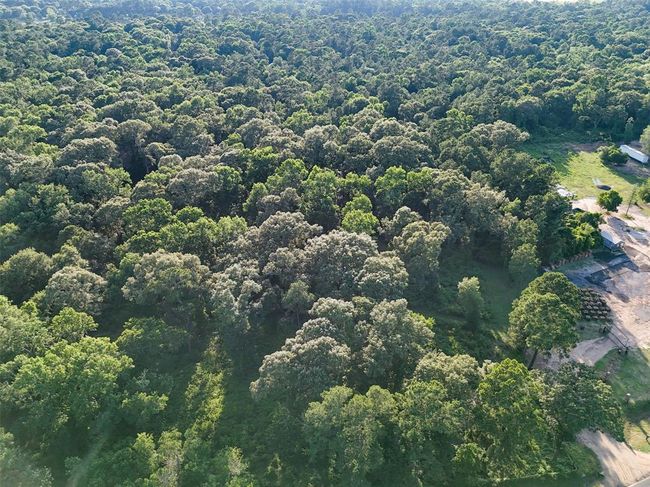 Overhead drone image of the heavily wooded property, illustrating expansive tree coverage and general boundary outline. | Image 7
